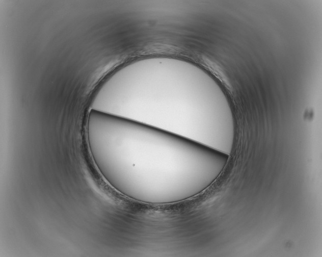 X0000089940538200707201905