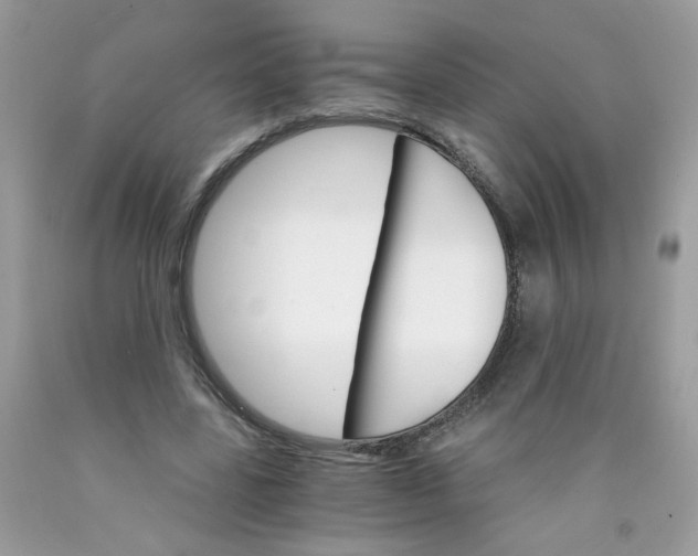 X0000089940539200707201905