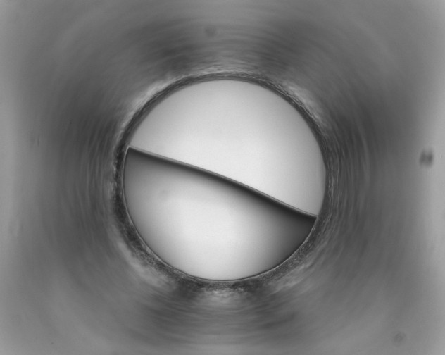 X0000089940540200707201905