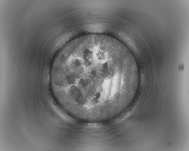 X0000089940541200707201905