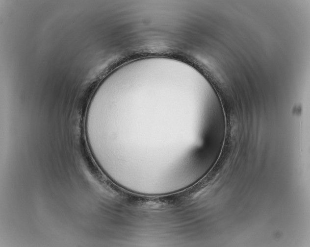 X0000089940542200707201905