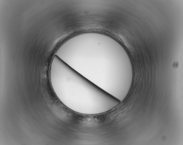 X0000089940543200707201905