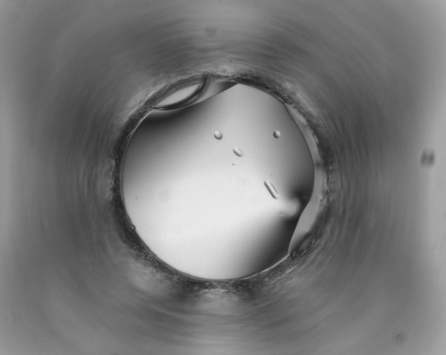 X0000089940544200707201905