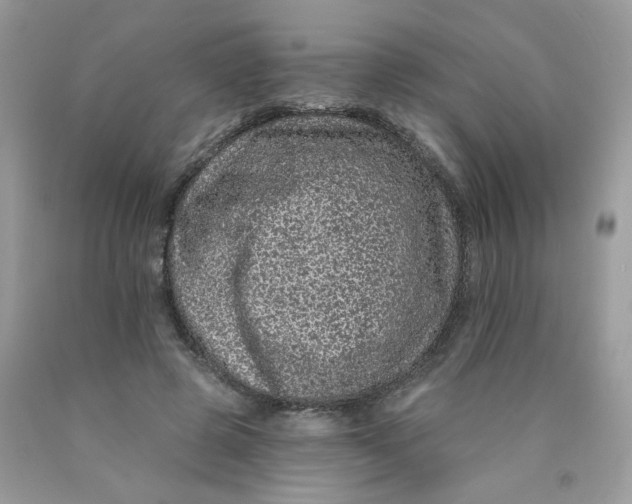 X0000089940545200707201905