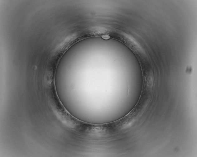 X0000089940546200707201905