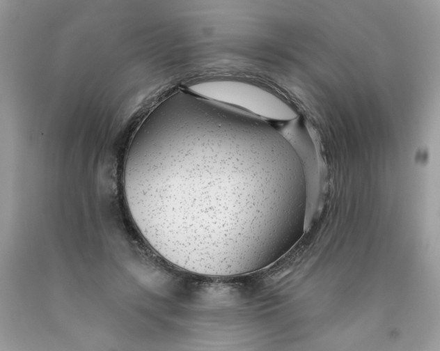 X0000089940547200707201905