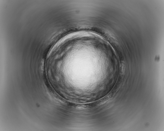 X0000089940550200707201905