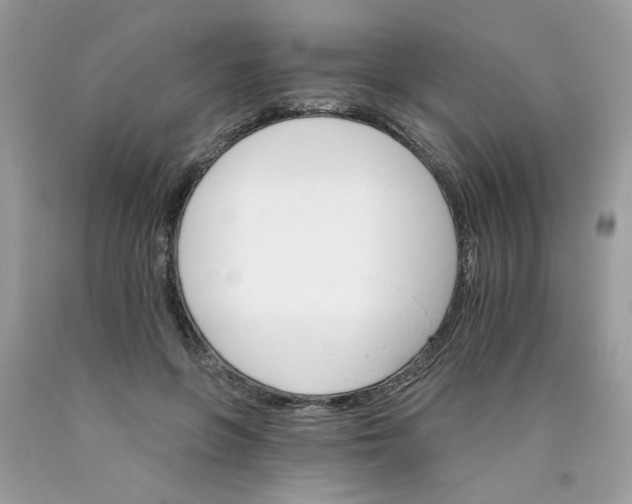 X0000089940551200707201905