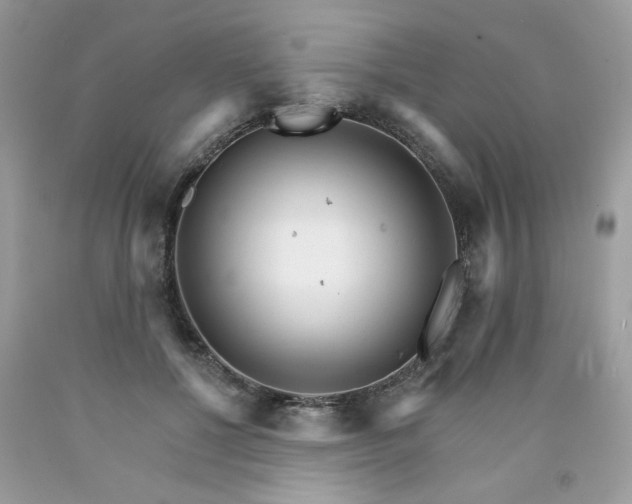 X0000089940552200707201906