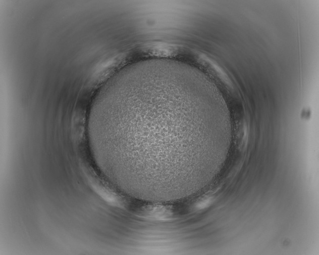 X0000089940553200707201906