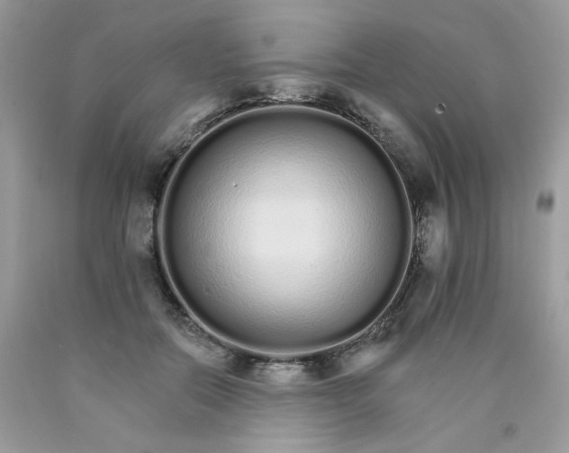 X0000089940554200707201906