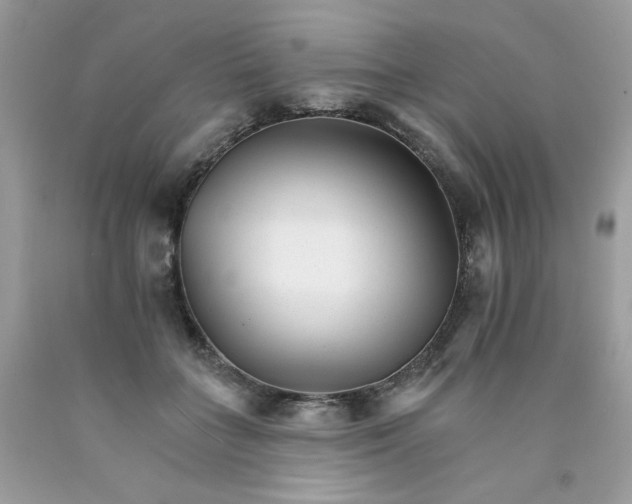 X0000089940555200707201906