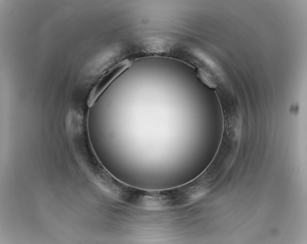 X0000089940556200707201906