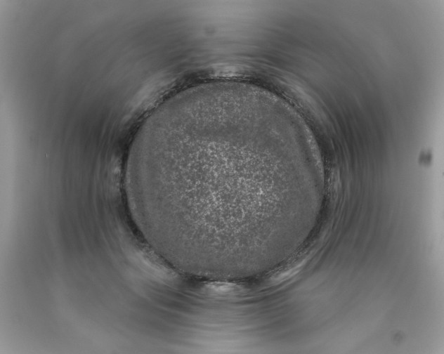 X0000089940557200707201906