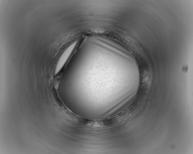 X0000089940559200707201906