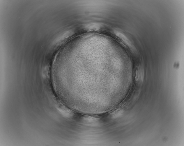 X0000089940561200707201906