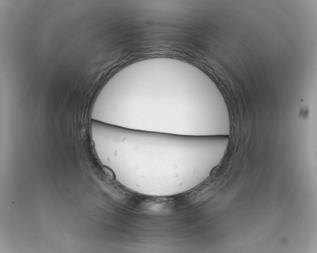 X0000089940563200707201906