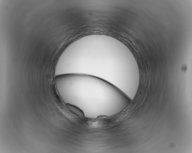 X0000089940564200707201906