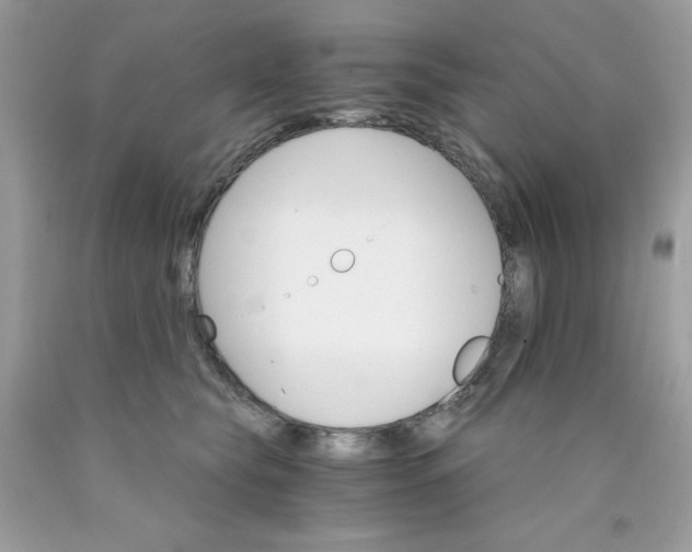 X0000089940565200707201906