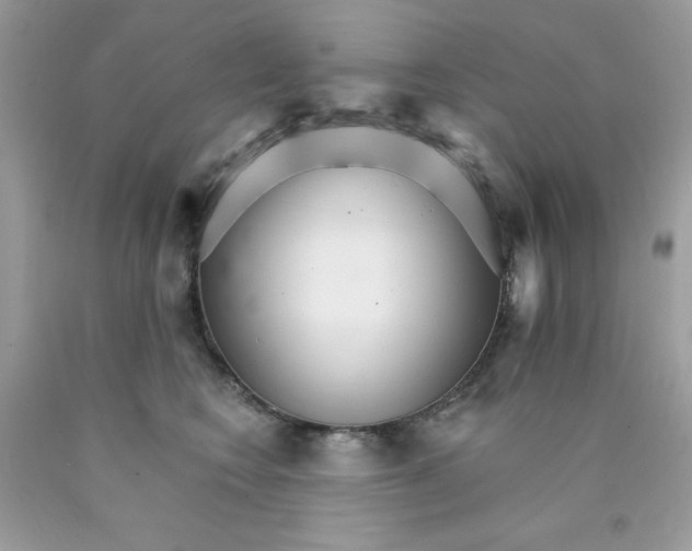 X0000089940566200707201906