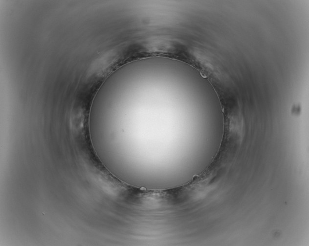 X0000089940567200707201906