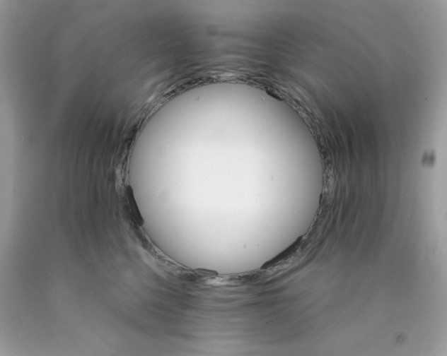 X0000089940568200707201906