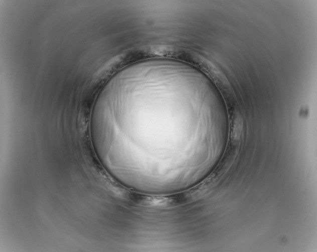 X0000089940569200707201906