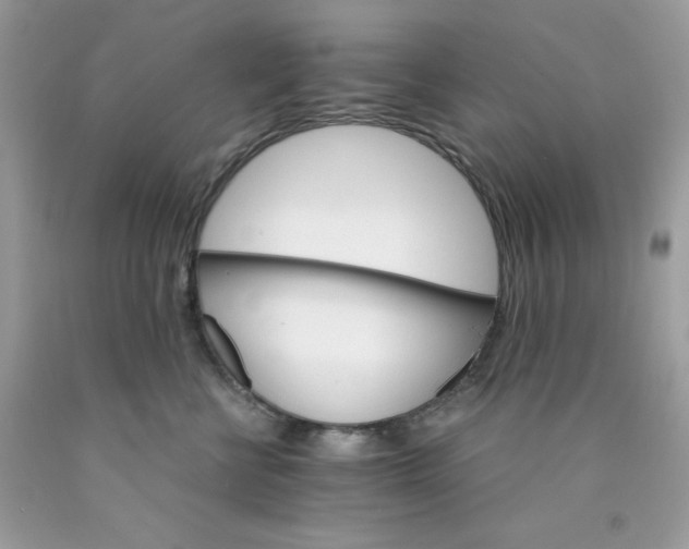 X0000089940570200707201906