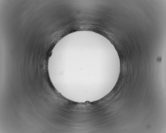 X0000089940571200707201906