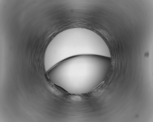 X0000089940572200707201906