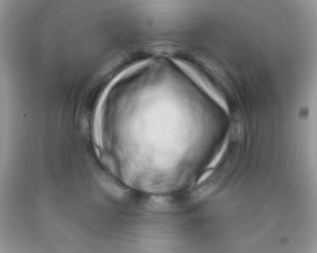 X0000089940573200707201906