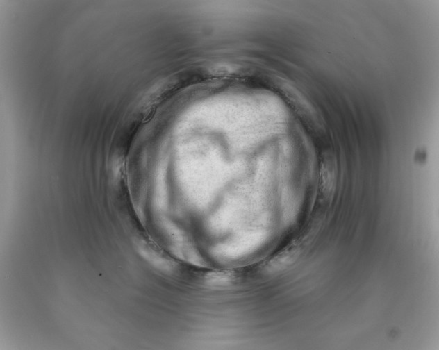 X0000089940574200707201906