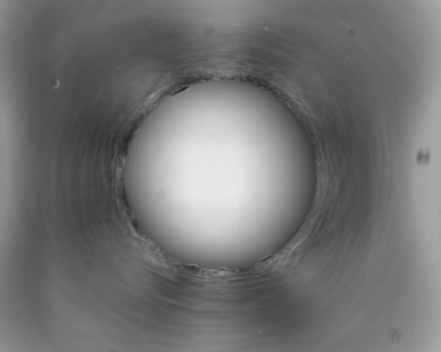 X0000089940576200707201906