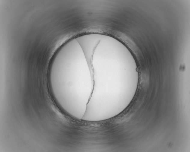 X0000089940578200707201905