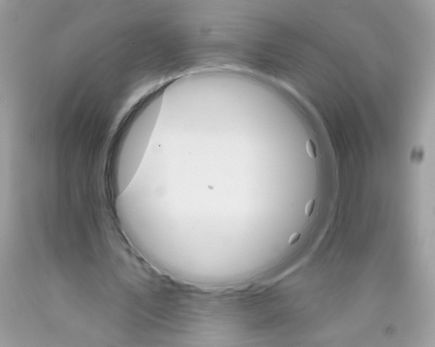 X0000089940579200707201905