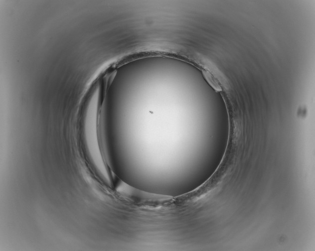 X0000089940580200707201905