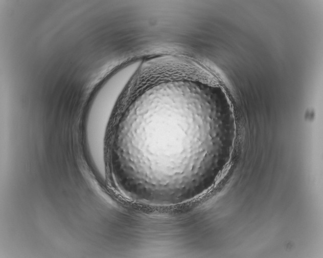 X0000089940581200707201905