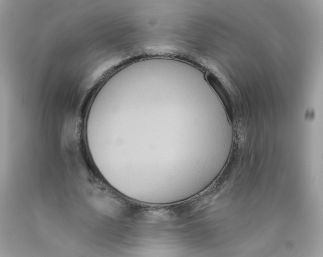 X0000089940583200707201905