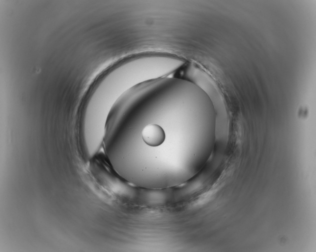 X0000089940584200707201905