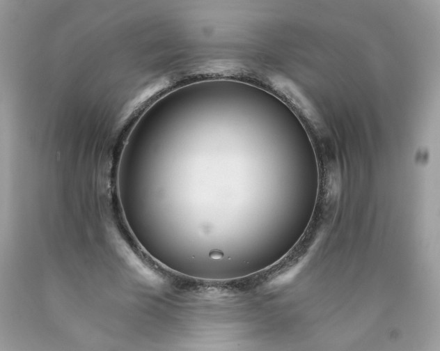 X0000089940585200707201905