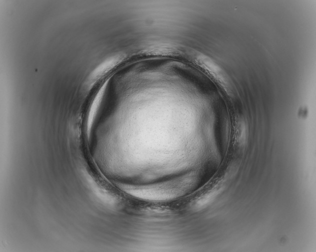 X0000089940586200707201905