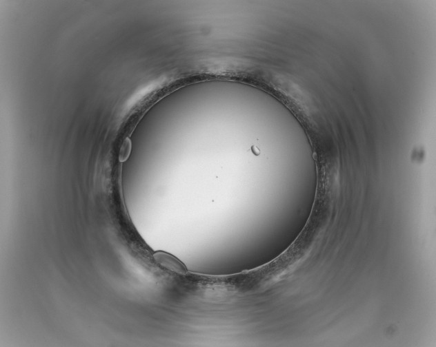 X0000089940587200707201905