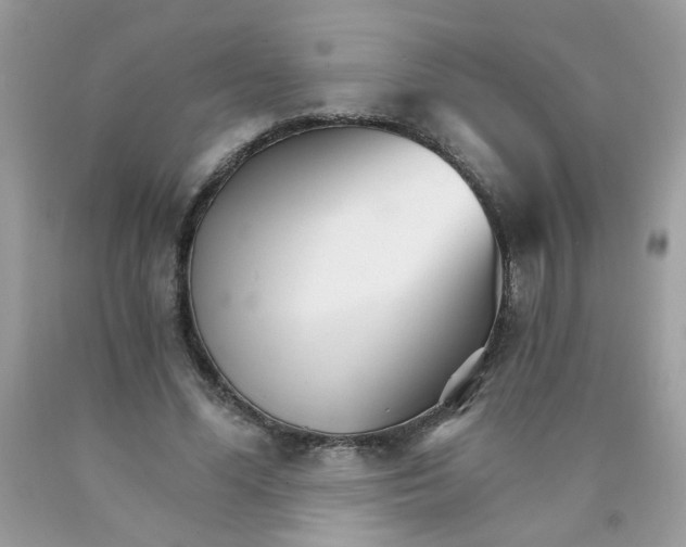 X0000089940588200707201905