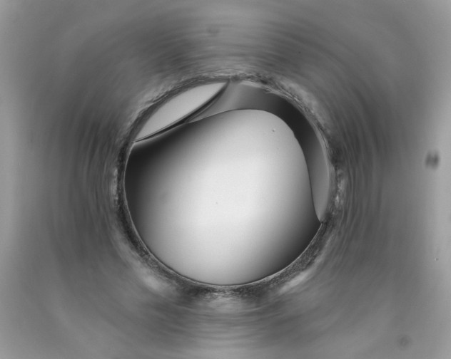 X0000089940589200707201905