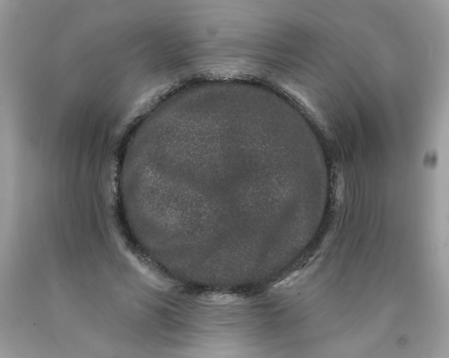 X0000089940590200707201905