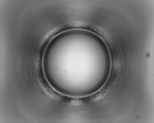 X0000089940591200707201905