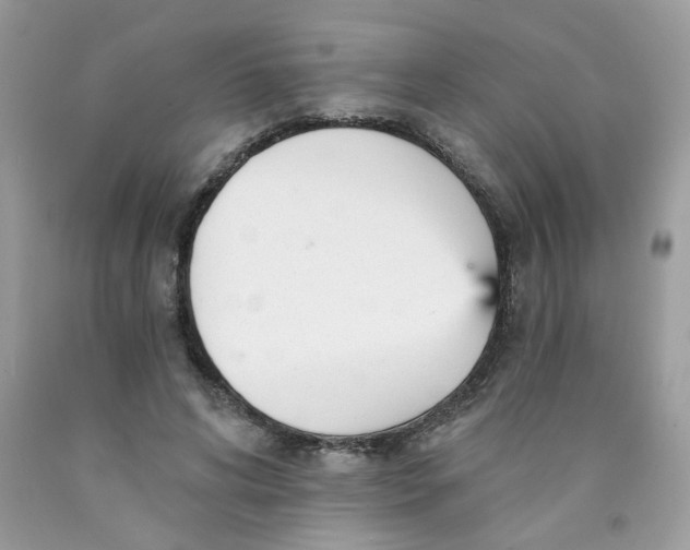 X0000089940592200707201905