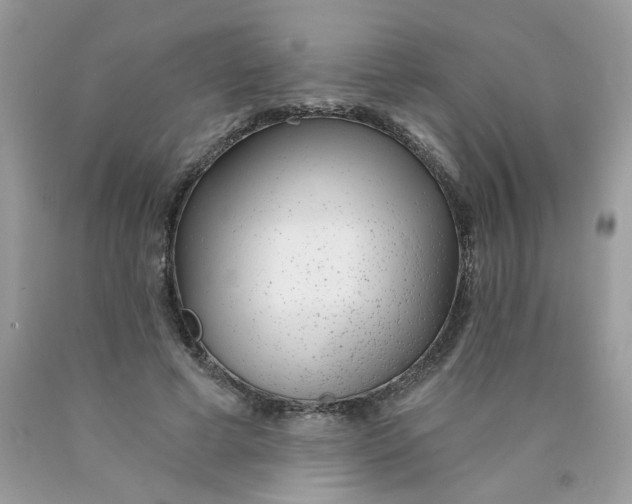 X0000089940593200707201905