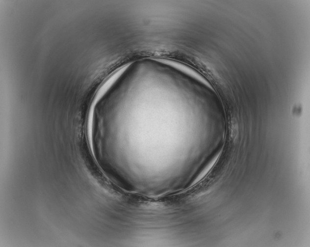 X0000089940594200707201905