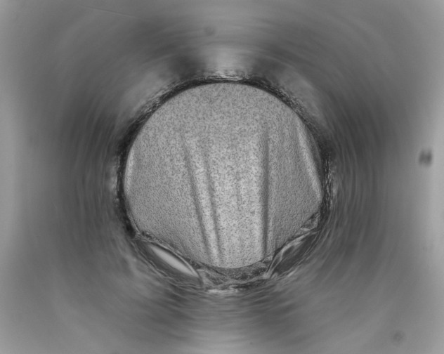 X0000089940595200707201905